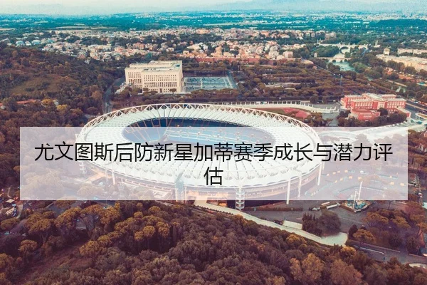 尤文图斯后防新星加蒂赛季成长与潜力评估